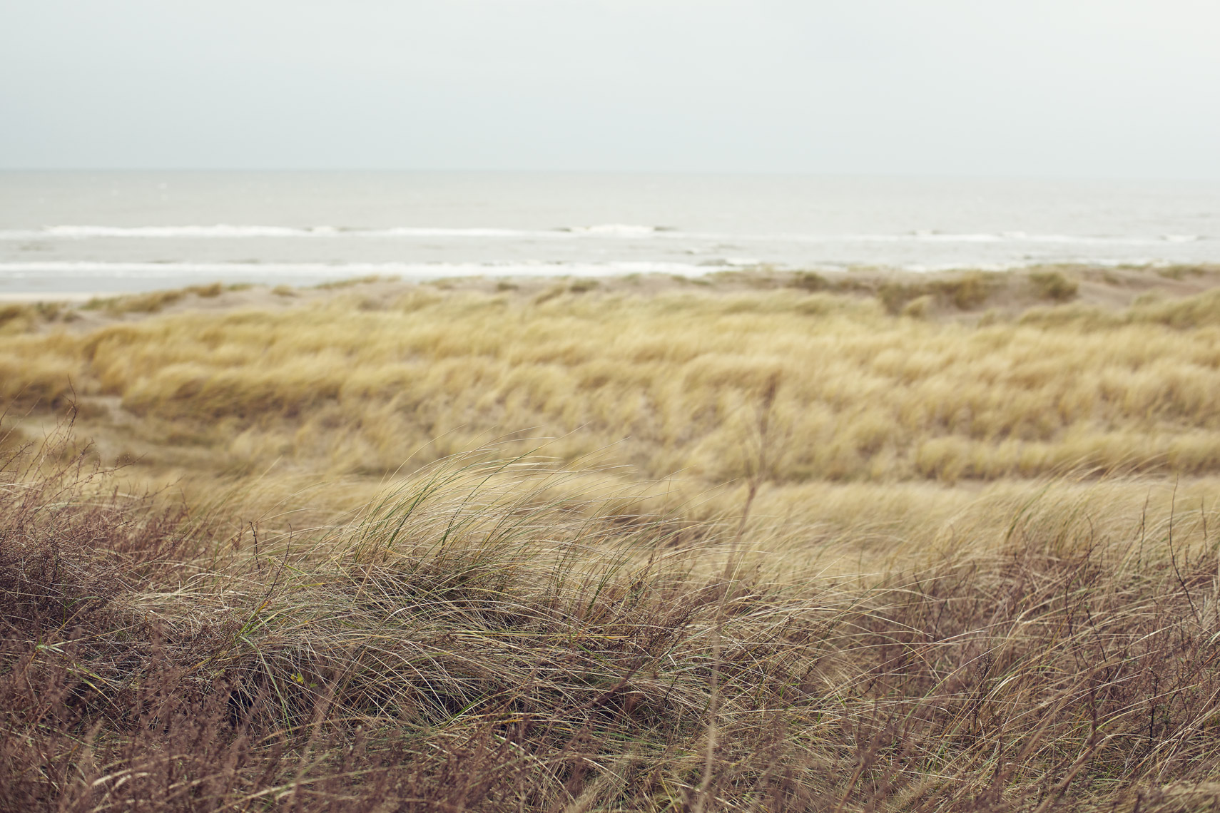 Huiester-Duin__4494